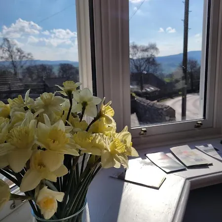 Haven House 3* 레이번